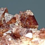 Espinela Roja
Sierra de Mijas - Mijas - Málaga
Pieza de 3,5x3 cm. cristal mayor 0,6 cm.
Detalle de la pieza anterior (Autor: El Coleccionista)