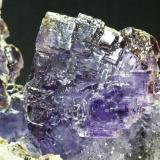 Fluorita + Cuarzo
Geoda "La Negrina" - La Viesca - La Collada - Siero - Asturias
Pieza de 11x9 cm. cristal mayor 3 cm.
Detalle de la pieza anterior (Autor: El Coleccionista)