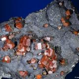 Vanadinita sobre óxidos de manganeso.
Taouz. Erfouz. Marruecos. 
8x6 cm. Cristal mayor 0.7 cm. (Autor: Juan L)