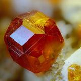Spessartina (Espesartina)Wushan Spessartine prospects, Tongbei, Yunxiao, Zhangzhou Prefecture, Fujian Province, ChinaCampo de visión: 1 mm (Autor: Pepe Sánchez)