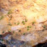 PiromorfitaFlorisa Mine, Peña de la Sal, Casas de Monleón, Endrinal, Comarca Entresierras, Salamanca, Castile and León, Spain15 cm. (Autor: canada)