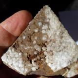 Dolomita con CalcitaSetiles, Comarca Señorío de Molina-Alto Tajo, Guadalajara, Castilla-La Mancha, España6 x 4 cm. (Autor: javier ruiz martin)