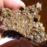 DolomitaSetiles, Comarca Señorío de Molina-Alto Tajo, Guadalajara, Castilla-La Mancha, España5 x 4 cm. (Autor: javier ruiz martin)