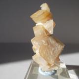 DolomitaSetiles, Comarca Señorío de Molina-Alto Tajo, Guadalajara, Castilla-La Mancha, España6 cm.de alto (Autor: javier ruiz martin)