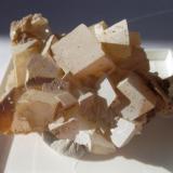 DolomitaSetiles, Comarca Señorío de Molina-Alto Tajo, Guadalajara, Castilla-La Mancha, España5 x 4 cm. (Autor: javier ruiz martin)