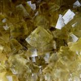 FluoritaMina Matagalls (Minas de Sant Marçal), Sant Marçal, Viladrau, Comarca Osona, Gerona / Girona, Cataluña / Catalunya, España200 x 190 mm. Cristal mayor 19 mm. (Autor: Jesus Franquesa Baucells)