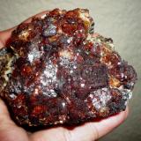 Reddish Andradite 
from Salaverna, Mazapil, Zacs.
75 x 70 x 28 mm (Author: Carlos M.)