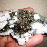 Chalcopyrite xtals. on milky quartz 
 Sabinas mine, San Martín, Sombrerete, Zacatecas, Mexico
82 x 50 x 30 mm (Author: Carlos M.)