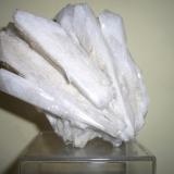 Danburite cluster
Mina La Aurora, Charcas, San Luis Potosí, Mexico
90x110x73mm  Prime xl  90mm long (Author: Carlos M.)