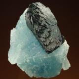 Wilhelmkleinite xl on Scorodite xl & Gerdtremmelite xls 9mm xl 
Tsumeb, Namibia
Specimen size: Thumbnail

Specimen: William Pinch Collection
Photo: Jeff Scovil & The RRUFF Project (Author: Pinch Bill)