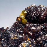 Sphalerite and siderite
Troya Mine. Mutiloa. Guipuzcoa. Spain
5 x 4 cm
A detail (Author: nimfiara)