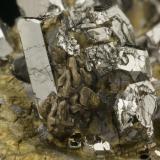 Different view of the Paolovite xls. on Sperrylite xls.
Talnakh Cu-Ni Deposit, Noril&rsquo;sk, Putoran Plateau, Taimyr Peninsula, Taymyrskiy Autonomous Okrug, Eastern-Siberian Region, Russia

Specimen: William Pinch Collection
Photo: Jeff Scovil &amp; The RRUFF Project (Author: Pinch Bill)