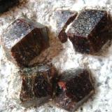 Almandine in mica schist
Ziller valley, North Tyrol, Tyrol, Austria
160 x 120 x 60 mm

Closer look at the some of the crystals, each one of them about 20 mm. (Author: Tobi)