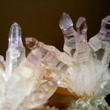 Quartz var. amethyst
Brandberg area, Brandberg District, Erongo Region, Namibia
75 x 50 x 40 mm

I suppose most of you love quartz sceptres, so here’s a closer shot of them (each one measures ~ 25 mm) ... (Author: Tobi)