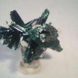 Brochantite
Milpillas, Sonora, Mexico.
3x3.5 cm. (Author: javmex2)