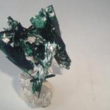 Brochantite
Milpillas, Sonora, Mexico.
3x3.5 cm. (Author: javmex2)