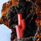 CROCOITE
Dundas, Tasmania
8x4 cm. (Author: Enrique Llorens)