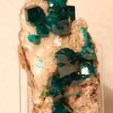 Dioptase on Calcite
Tsumeb, Namibia
Specimen size: Cabinet

Specimen: William Pinch Collection
Photo: Jeff Scovil &amp; The RRUFF Project (Author: Pinch Bill)