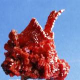 Vanadinite
Mibladen, Morocco
5x6 cm (Author: Enrique Llorens)