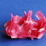 RHODONITE
San Martín Mine, Chiurucu, Peru
6,5x5 cm (Author: Enrique Llorens)