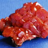 Vanadinite
Comune de Taouz, Morocco.
5x4 cm. (Author: Enrique Llorens)