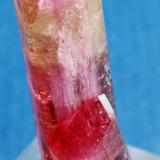 Tourmaline
Cruzeiro Mine, Minas Gerais, Brazil
4,5x1 cm
Present from Mr. Alvaro Lucio (Author: Enrique Llorens)