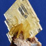 Baryte
Cerro Warihuyn, Miraflores, Huamalias, Huanuco, Peru
7x4 cm (Author: Enrique Llorens)