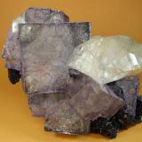 Fluorita-Calcita. Elmwood Mine. 17´5x11 cm. Cubo de 6 cm y Calcita de 8 cm (Autor: geoalfon)