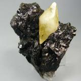 Calcita en Esfalerita. Elmwood Mine, Smith Co, Tennessee, Usa. 8x6´5 cm (Autor: geoalfon)