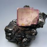 Fluorita en Esfalerita. Elmwood Mine, Smith Co, Tennessee, Usa. 7´5x5´5 cm. Cristal de 3´2 cm (Autor: geoalfon)