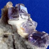 FLUORITE
Coquera del Llisu, La Cabaña, Berbes, Asturias, Spain.
6x3 cm. (area of the image) (Author: Enrique Llorens)