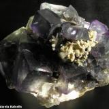 Fluorita, Okoruso (Namibia) 7 x 5,5 x 2,5 cm. Tamaño del cristal mayor 1,6 x 1,4 cm. (Autor: Frederic Varela)