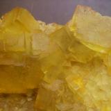 Fluorita. Detalle de los cubos. El mayor mide 3,5 cm de arista. (Autor: Antonio Alcaide)
