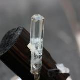 Chorlo con Berilo de Stak Nala, de 4x3 cm aprox (Autor: Pep Gorgas)