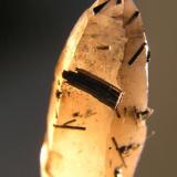 Schorlos sobre y en Cuarzo ahumado, 3 cm long cuarzo.
Cantera de Cillarga, Ponteareas, Pontevedra. (Autor: Carlos J. Rodríguez)