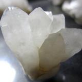 Otro más - Caceres - 2,5 x 3 cm. (Autor: Juan C. Agua)