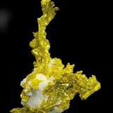 Oro nativo con Cuarzo
Mina Eagle’s Nest, Placer County, California,USA
Tamaño de la pieza: 4 × 3.2 × 1.3 cm.
El cristal más grande mide: 2.4 × 0.4 cm.
Encontrado en 2003
Foto: Ejemplares de Referencia (Autor: Jordi Fabre)