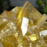 Gold and Quartz
Wright Hardgrave Mine, Kirkland Lake, Ontario, Canada
6x6cm (Author: derrick)