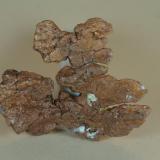 Cobre nativo, Girilambone Copper, Girinlambone, Australia 46x35x5 (Autor: Juan María Pérez)