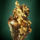 Oro
Ballarat, Victoria, Australia. Star of the East (m).
Crecimientos laminares en matriz de cuarzo filoniano con óxidos de hierro (ejemplar de 1979).
4,4 x 2,7 x 2,3 cm. (Autor: Carles Curto)