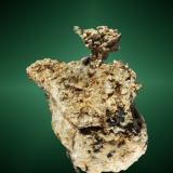 Plata
Real del Monte (Mineral del Monte), Hidalgo, México. La Rica (m).
Agregado arborescente de cristales cúbicos muy definidos, en matriz de calcita (ejemplar de 1971).
5,4 x 3,9 x 2,8 cm. (Autor: Carles Curto)