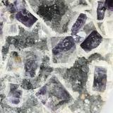 Detalle del panal (Autor: Amir Temur)