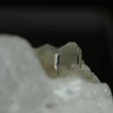Cuarzo (var. Cristal de Roca) sobre mármol, Colonnata, Toscana, Italia 55x35x35. El tamaño del cristal está entre 5 y 10 mm (lo digo de memoria) (Autor: Juan María Pérez)