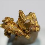 Oro nativo
Michigan Bluff, mining distric, placer County, California, USA
Unos 2 cm (Autor: Pep Gorgas)