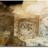 Fluorita con inclusiones de hidrocarburos
La Minette, St Julien les Rosiers, Alès, Gard, Languedoc-Roussillon, Francia
Campo visual: 5 mm.
Foto y especimen: Jean-Marc Johannet (Autor: Jordi Fabre)