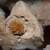 Aragonito
Cantera La Tinaja, Pantoja, Toledo, España
Cristal mayor 3 cm. (Autor: jose manuel gomez)