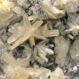 Cerusita maclada. Detalle
Mina Raimunda, El Molar, El Priorat, Tarragona, Cataluña, España
El cristal más grande mide: 0.7 × 0.2 cm.
Colección Folch duplicados
Leve fluorescencia con UV onda larga y corta
Foto: Minerales de Referencia (Autor: Jordi Fabre)