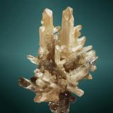 Cerusita
Touissit, Oujda-Angad (pref.), L&rsquo;Oriental (wilaya), Marruecos. Zelidja (m).
5,4 x 4,6 x 3,0 cm. (ejemplar)
Agregado en macla reticular (en "celosía") de cristales prismáticos. (cristal pral.: 3,6 x 1,5 x 0,6 cm.).
Ejemplar de 1987. (Autor: Carles Curto)