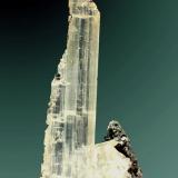 Cerusita
Tsumeb, Tsumeb (constituencia), Otavi (mts.), Oshikoto (región), Namibia. Tsumeb (m).
5,5 x 2,6 x 1,4 cm. (ejemplar)
Cristal prismático hialino en matriz (5,1 x 1,2 x 0,5 cm.).
Ejemplar de 1982. (Autor: Carles Curto)