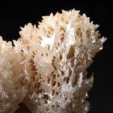 Cerusita (Detalle del crecimiento esquelético)  
(Mina Nakhlak, Anarak, Irán)
7,5 x 5,5 x 3,4 cm.
(Foto Copyright: Iván Blanco) (Autor: Iván Blanco (PDM))